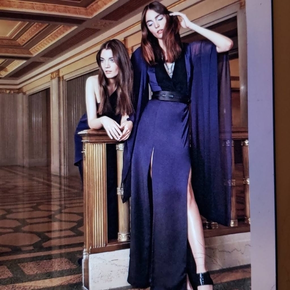 *Flaw, no belt!* HALSTON HERITAGEPlunge Neckline Long Dress w/ Tags - Picture 2 of 5